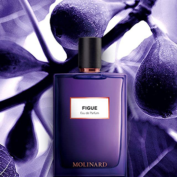 Nobile 1942 - Figue eau de parfum parfüm unisex